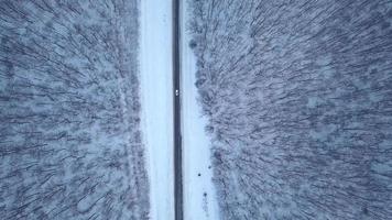 aérien vue sur voiture conduite par hiver forêt route. scénique hiver paysage video