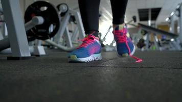 Running shoes - woman tying shoe laces in the gym video