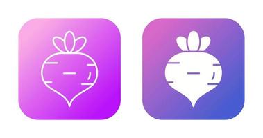 Turnip Vector Icon