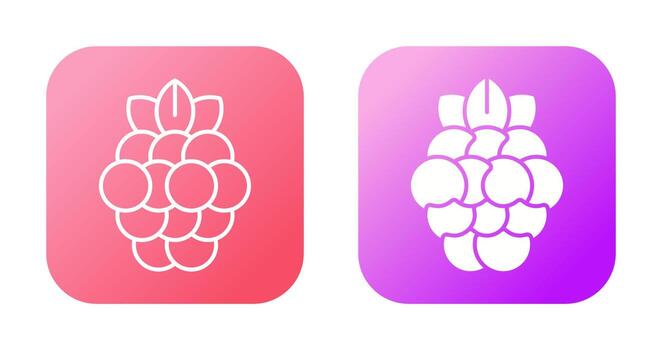 Raspberry Vector Icon