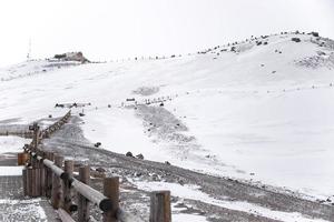 Changbai mountain scenery at Jilin, China photo