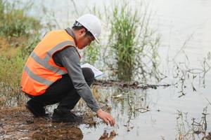 ambiental ingenieros trabajo a agua fuente a cheque para contaminantes en agua fuentes y analizando agua prueba resultados para reutilizar.mundo ambiente día concepto. foto