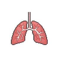 a lung in pixel art style vector