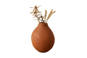 Clay vase with dried plants isolated on a transparent background png