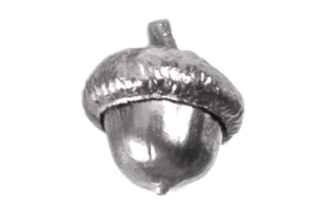 Silver acorn isolated on a transparent background png