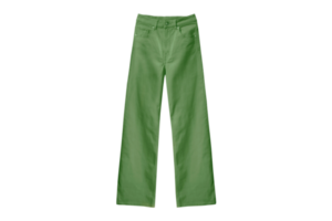 verde pantalones aislado en un transparente antecedentes png