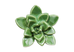 verde planta decorativo vela aislado en un transparente antecedentes png