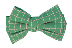 Green bow tie isolated on a transparent background png