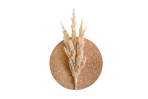 Brown plate with dried grass isolated on a transparent background png