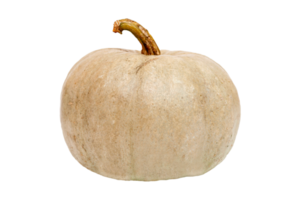 Pumpkin vegetables isolated on a transparent background png