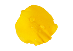 Yellow petals isolated on a transparent background png