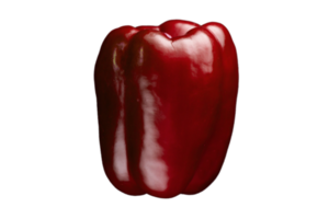 Red paprika isolated on a transparent background png