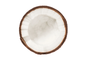 Half coconut isolated on a transparent background png