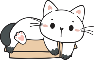 cute funny playful naughty white kitty cat pet in cardboard box animal doodle drawing png