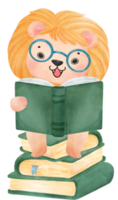 cute watercolour baby lion animal kid reading book, back to school cartoon character illustration png