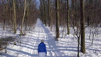 flyg över de ensam turist flicka gående längs de topp av en berg täckt med snö. obekväm ovänlig vinter- väder. video