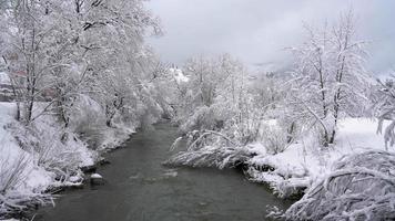 inverno montanha rio cercado de árvores e bancos do coberto de neve video