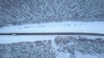 aéreo Visão em carro dirigindo através inverno floresta estrada. cênico inverno panorama video