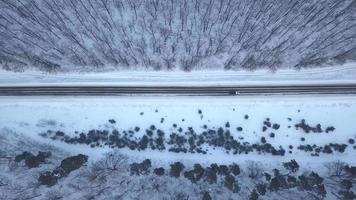 antenne visie Aan auto's het rijden door winter Woud weg. toneel- winter landschap video