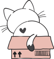 cute funny playful naughty white kitty cat pet in cardboard box animal doodle drawing png