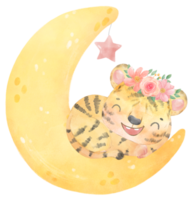 cute sweet innocence baby tiger on dreamy crescent moon phase kid nursery watercolour Illustration png