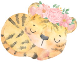 cute baby playful tiger with floral crown, whimsical children animal watercolour illustration png