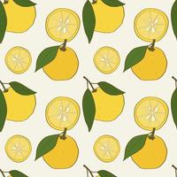 Seamless pattern with hand drawn yuzu fruits with leaves vector