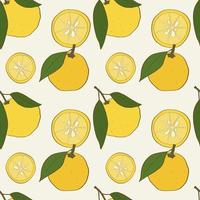 Seamless pattern with hand drawn yuzu fruits with leaves vector