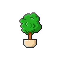 tree on the pot with pixel art style vector