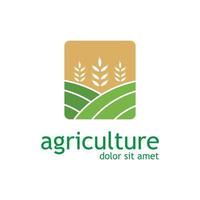 granja negocio, tierras de cultivo, cosecha campo, y almacén negocio modelo ilustración diseño logo vektor vector