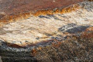 Macro mineral stone Snake eye in the rock a white background photo