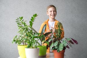 un linda chico en un camisa es estudiando interior verde plantas, cuidando para flores ayuda madre foto