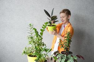 un linda chico es estudiando interior verde plantas, cuidando para flores toque y humedecer ficus hojas foto