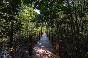 de madera puente pasarela a kung Krabaen bahía mangle bosque a chanthaburi ciudad tailandia foto