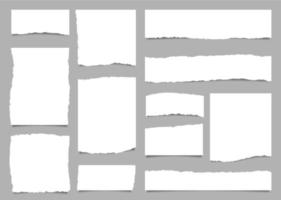 White torn paper rip pieces of note sheet edges vector