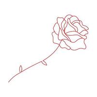 Rose icon design vector