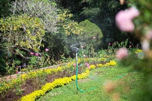 figura muestra cómo el campo es regado foto