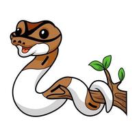 Cute pied ball python cartoon on tree branch vector