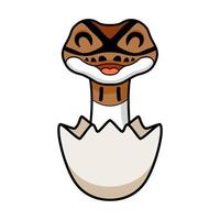 Cute pied ball python cartoon inside an egg vector