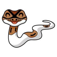 Cute pied ball python cartoon vector