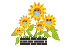 Halloween Pumpkin Sunflower Using Medical Mask png