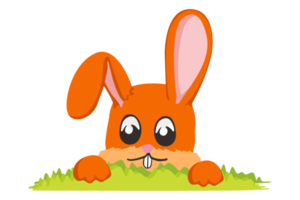 Pasqua coniglietto - adorabile coniglietto nascondiglio dietro a il erba png