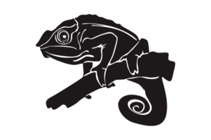 Black Silhouette Of Chameleon png