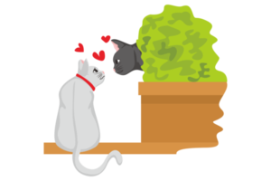 negro gato y blanco gato en amor png