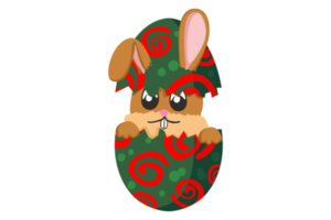 påsk kanin - en söt kanin inuti en knäckt ägg med en skön mönster png