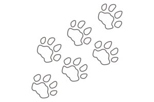 perro y gato pata png