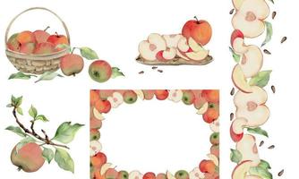 mano dibujado acuarela conjunto con marcos, coronas y composiciones manzana fruta, flores, hojas, sucursales. aislado objeto en blanco antecedentes. diseño para pared arte, boda, imprimir, tela, cubrir, tarjeta. vector