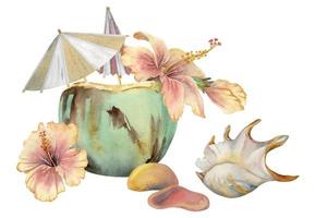 Hand drawn watercolor composition. Coconut cocktail with paper umbrellas, hibiscus flowers. Isolated on white background. Design wall art, wedding, print, fabric, cover, card, tourism, travel booklet. vector