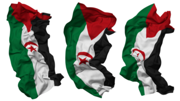 Sahrawi Arab Democratic Republic Flag Waves Isolated in Different Styles with Bump Texture, 3D Rendering png