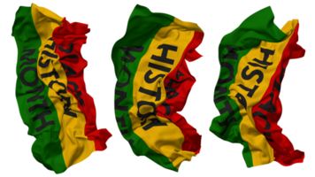 negro historia mes bandera olas aislado en diferente estilos con bache textura, 3d representación png